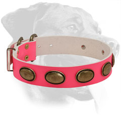 Genuine Leather Rottweiler Collar with Large Decorations