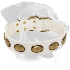 Leather Rottweiler Collar with Large Decorations
