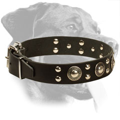 Genuine Leather Rottweiler Collar with Mixed Decorations