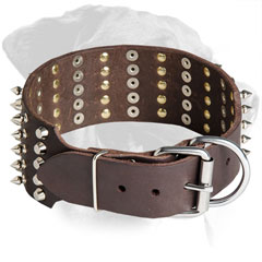 Rottweiler Collar Made of Leather with Nickel Buckle