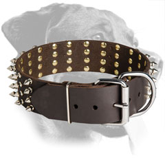 Leather Rottweiler Collar Equipped with Nickel Buckle