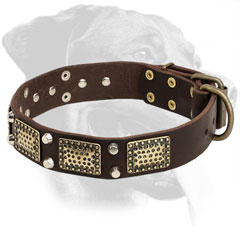 Leather Rottweiler Collar Decorated with Nickel Stones