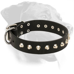 Leather Rottweiler Collar with Nickel Decorations