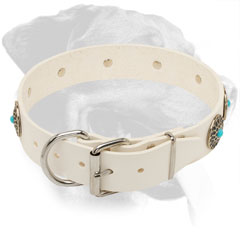 Leather Dog Collar for Rottweiler with Nickel Plated Hardware