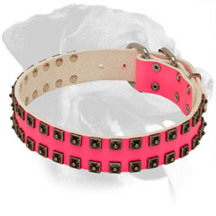 Pink Rottweiler Collar Made of Leather