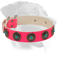 Pink Leather Dog Collar for Rottweiler with Nickel Plated Circles