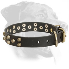 Rottweiler Collar Made of Leather with Riveted Decorations
