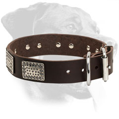 Rottweiler Collar Made of Leather Decorated with Rusty Plates