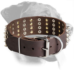 Leather Rottweiler Collar with Polished Buckle and D-Ring