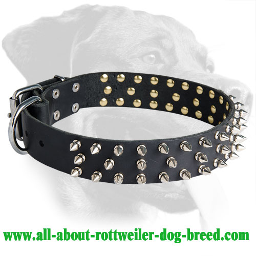 dog belt and chain