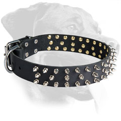 Stylish Spiked Leather Rottweiler Collar for Walking