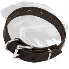 Thin Leather Collar for Rottweiler with Reliable Nickel Hardware