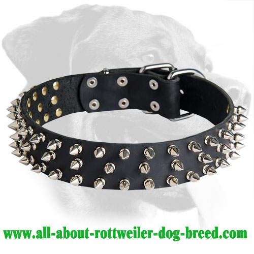 The Spike - Leather Dog Collar