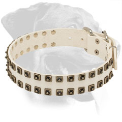 White Rottweiler Collar Made of Leather