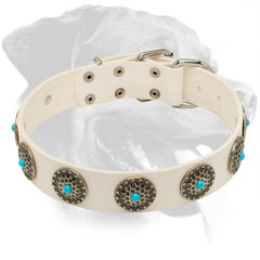 Gorgeous White Leather Dog Collar for Rottweiler with Silver Plated Circles