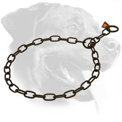 Rottweiler Collar Made of Stainless Steel for Behavior Correction