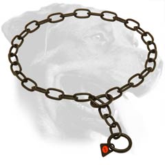 Stainless Steel Rottweiler Collar Equipped with Floating O-Ring