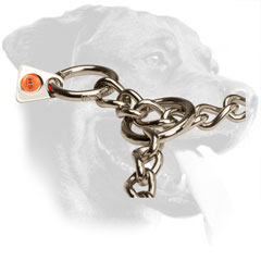 Stainless Steel Rottweiler Collar Equipped with Floating O-Ring