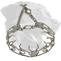 Rottweiler Pinch Collar Made of Stainless Steel