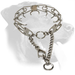 Stainless Steel Rottweiler Collar Equipped with Quick Release Buckle