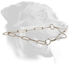 Steel Rottweiler Collar with Anatomical Shape