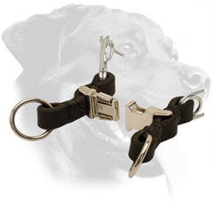 Steel Rottweiler Collar Equipped with Comfortable Buckle