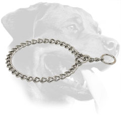 Rottweiler Collar Made of Corrosion Resistant Steel