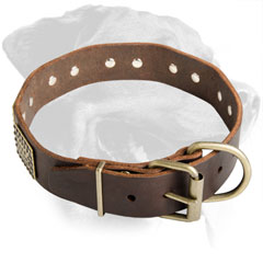 Rottweiler Breed Decorated Leather Collar