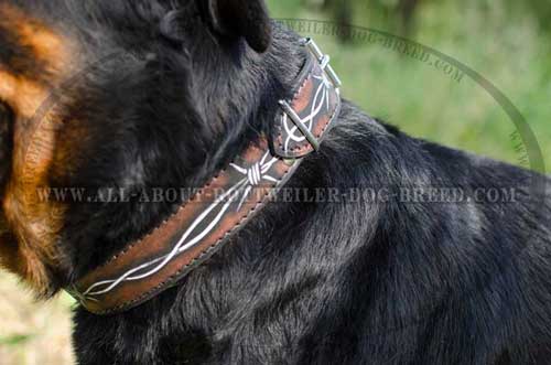 Rottweiler Leather Collar with Exclusive Painting