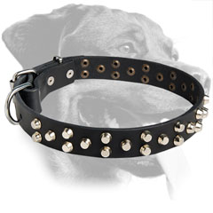 Rottweiler Dog Fabulous Leather Collar with pyramids