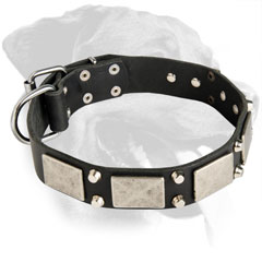 Exclusive Rottweiler Decorated Leather Collar