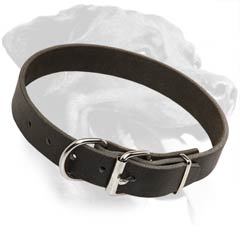 Safe Rottweiler Leather Dog Collar