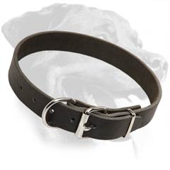 dog buckle collars