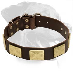 Fancy Rottweiler Leather Dog Collar