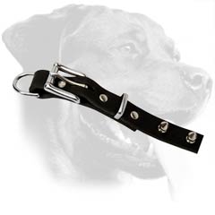 Top-quality Rottweiler Leather Dog Collar