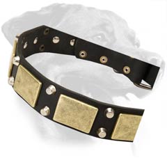 Decorated Rottweiler Leather Doc Collar