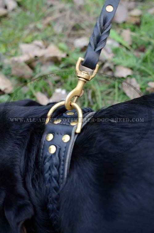 Quality Rottweiler Leather Collar