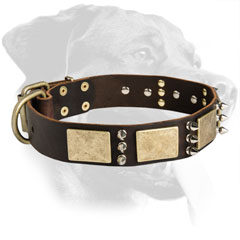 Rottweiler Breed Decorated Leather Collar with spikes and plates