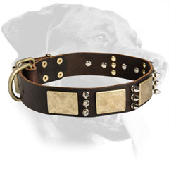 dog collars studded