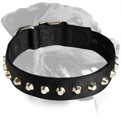 Reliable Rottweiler Nylon Collar