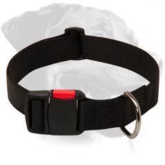 Reliable Rottweiler Nylon Dog Collar