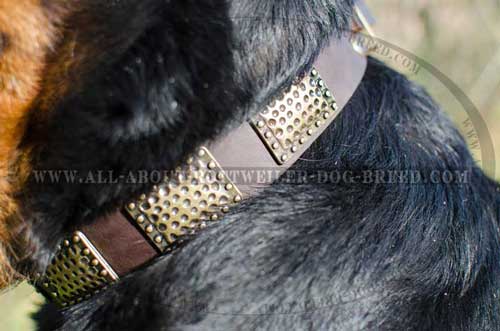 Special Rottweiler Dog Leather Collar with Plates