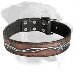 Rottweiler Dog Barbed Wire Leather Collar