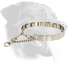 Behavior Correction Rottweiler Neck Tech Collar Made of Stainless Steel