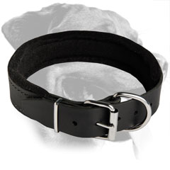 Rottweiler Simple Designed Training Padded Leather  Collar