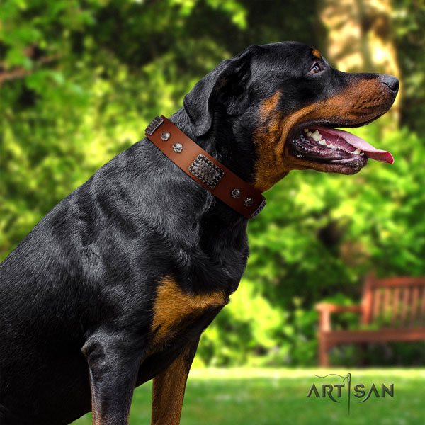 Rottweiler easy adjustable full grain natural leather dog collar with remarkable studs