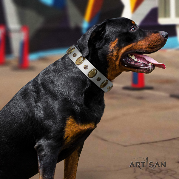 Rottweiler everyday use leather collar for your impressive dog