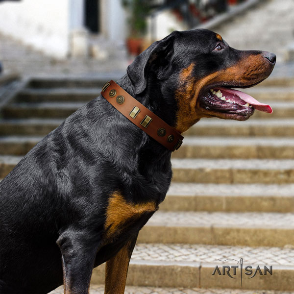 Rottweiler adjustable full grain genuine leather dog collar with awesome studs