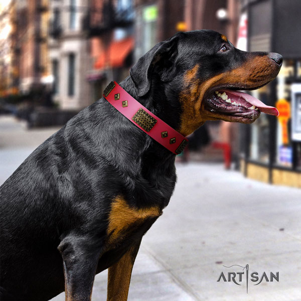 Rottweiler best quality natural genuine leather dog collar with trendy decorations