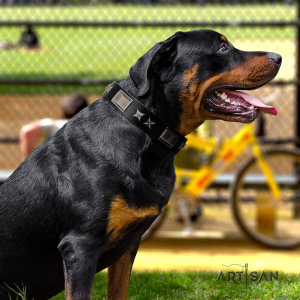 Rottweiler handmade collar with exceptional adornments for your four-legged friend